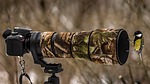 Photo by LubosHouska bird watching photo