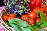 Photo by RitaE garden vegetables photo