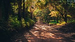 Photo by fgmsp woods trail photo
