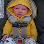 car seat jedi by the.shutterfly car seat photo