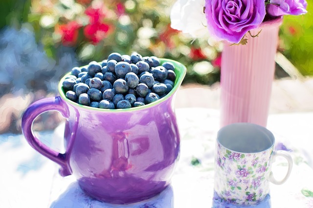 Photo by jill111 blueberries photo