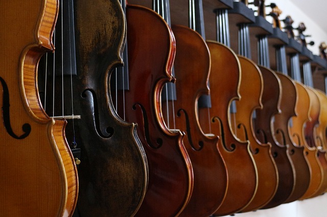 Photo by Baohm fiddle photo